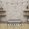 Millennium Cream 24x6 NC Quartzite Ledger Panel