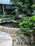 Mixed 3-5 CM 40 LBS Polished Stone Pebbles