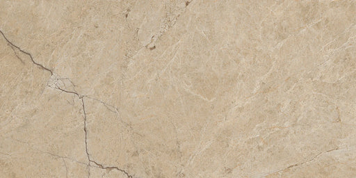 Lithology Edition Moscato Taupe 12x24 Porcelain Tile