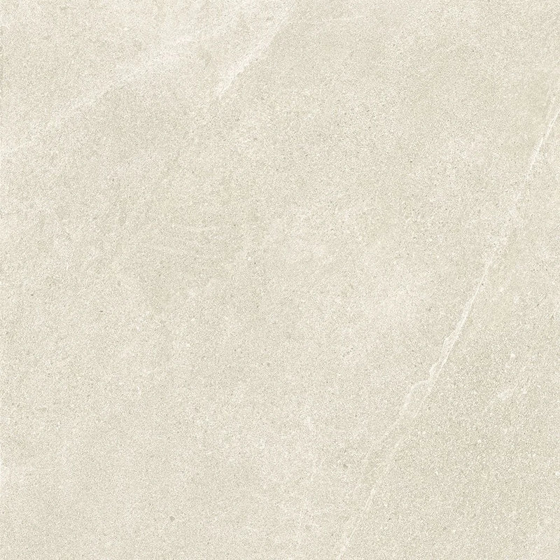 Motley Rio 24x48 Matte Porcelain Tile