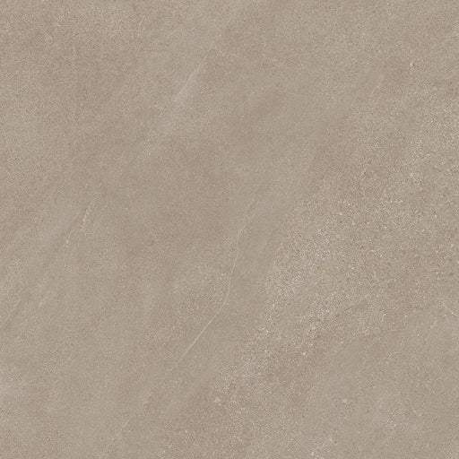 Motley Wembley 48x48 Matte Porcelain Tile