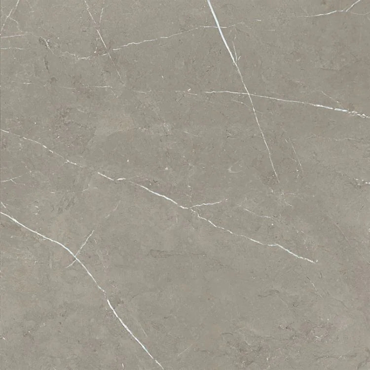 Mountain Mount Grey 24x24 Matte Porcelain Tile