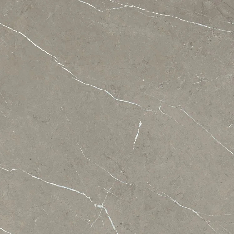 Mountain Mount Grey 24x24 Matte Porcelain Tile