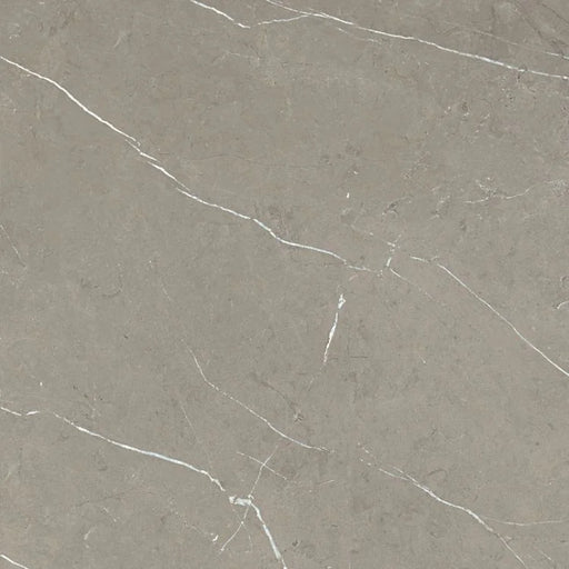 Mountain Mount Grey 24x24 Matte Porcelain Tile