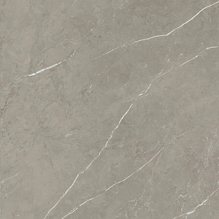 Mountain Mount Grey 24x24 Matte Porcelain Tile