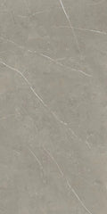 Mountain Mount Grey 24x48 Matte Porcelain Tile