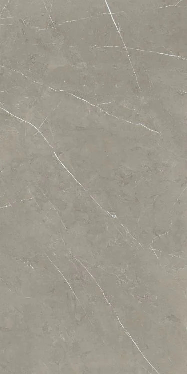 Mountain Mount Grey 24x48 Matte Porcelain Tile