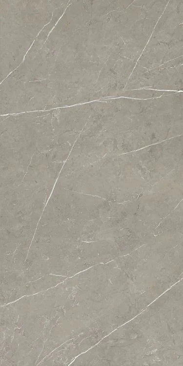 Mountain Mount Grey 24x48 Matte Porcelain Tile