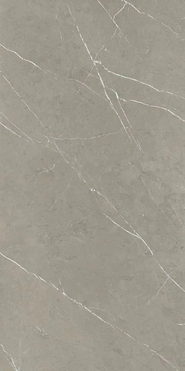 Mountain Mount Grey 24x48 Matte Porcelain Tile