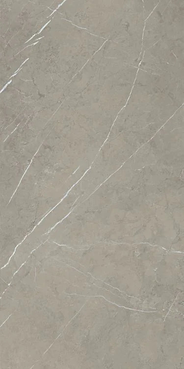 Mountain Mount Grey 24x48 Matte Porcelain Tile