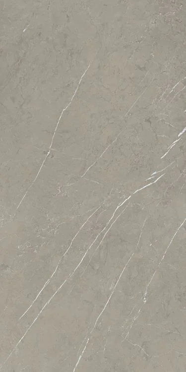 Mountain Mount Grey 24x48 Matte Porcelain Tile