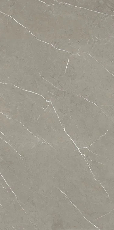 Mountain Mount Grey 24x48 Matte Porcelain Tile