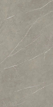 Mountain Mount Grey 24x48 Matte Porcelain Tile