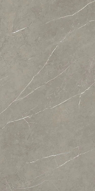 Mountain Mount Grey 24x48 Matte Porcelain Tile