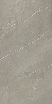 Mountain Mount Grey 24x48 Matte Porcelain Tile