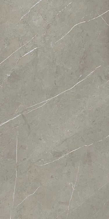 Mountain Mount Grey 24x48 Matte Porcelain Tile
