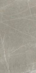 Mountain Mount Grey 24x48 Matte Porcelain Tile
