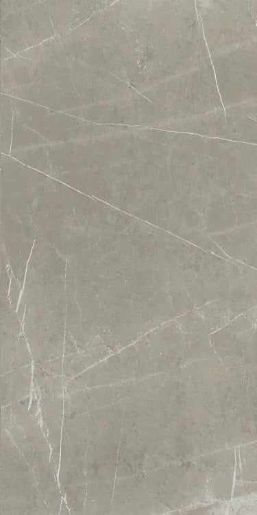 Mountain Mount Grey 24x48 Matte Porcelain Tile