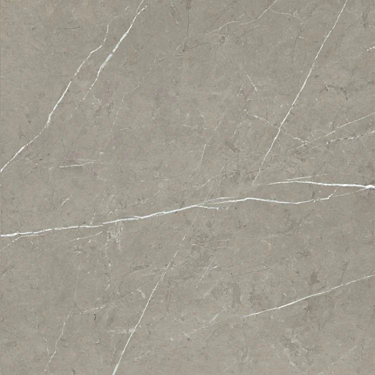 Mountain Mount Grey 36x36 Polished Porcelain Tile