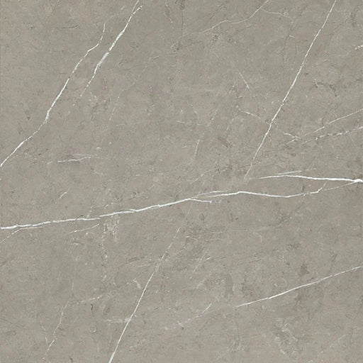 Mountain Mount Grey 36x36 Polished Porcelain Tile