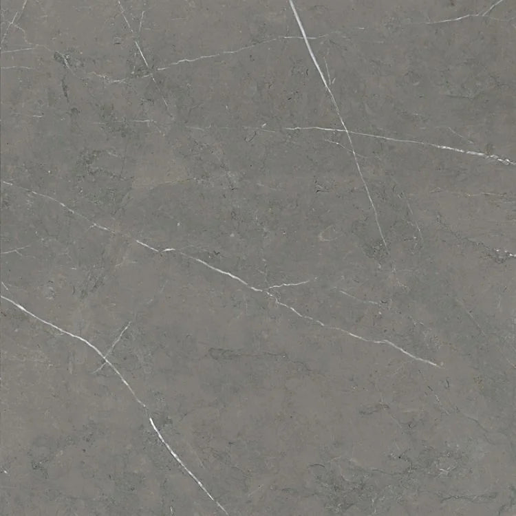 Mountain Mount Tobacco 24x24 Polished Porcelain Tile