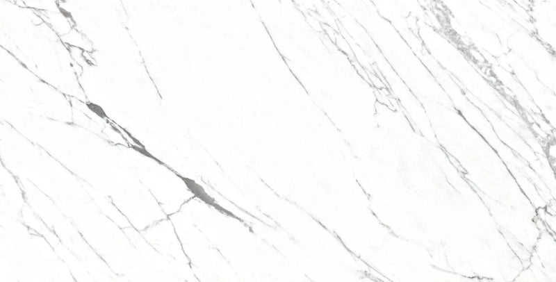 Venato 24x48 Polished Porcelain Tile
