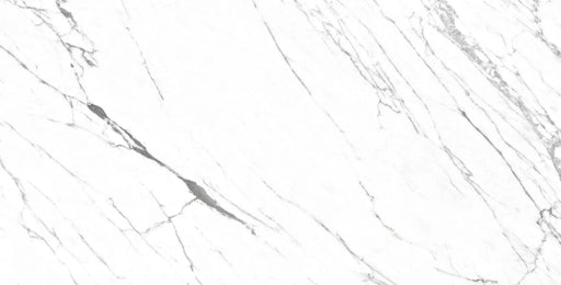 Venato 24x48 Polished Porcelain Tile