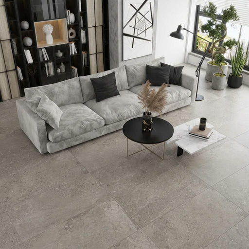 Museo Natural Grey Matte 24x48 Porcelain Tile — Living Room floor