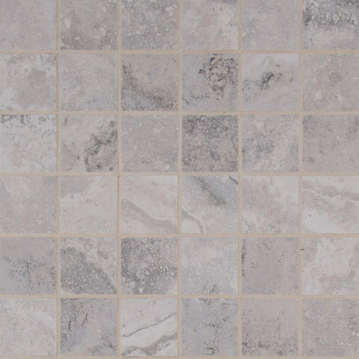 Napa Gray 2x2 Matte Ceramic Floor Mosaic Tile
