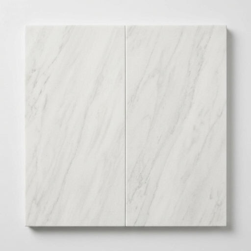Natural Carrara Equinox Marble Leather (Sandblasted & Brushed) 12 x 24 x 2 Modern Coping 12x24 close-up