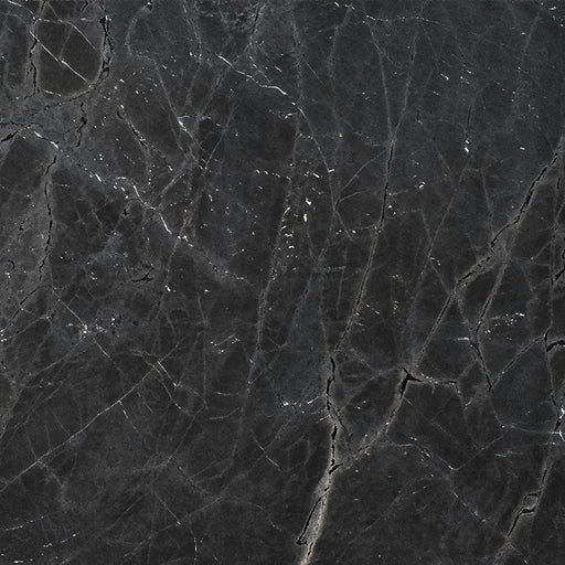 Negresco dark charcoal granite slab with fine pale veining and a honed leathered surface.