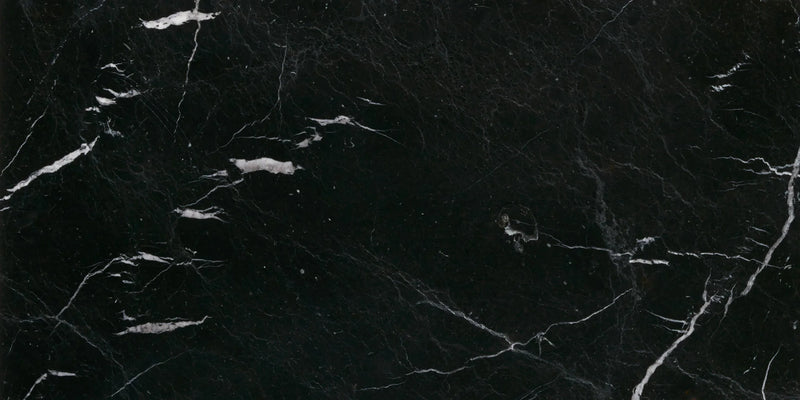 Negro Marquina 12x24 Polished Marble Tile