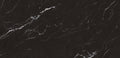 XL Slabs Nero Marquina 48x98 Glazed & Polished Porcelain Tile