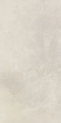 NG Pulpis Prime Light Grey 24x48 Matte Marble Look Porcelain Tile