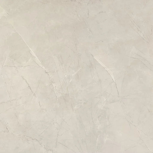 NG Pulpis Prime Light Grey 48x48 Matte Marble Look Porcelain Tile