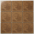 Noce (Antalya) Travertine 12x12 Filled & Polished Travertine Tile close-up