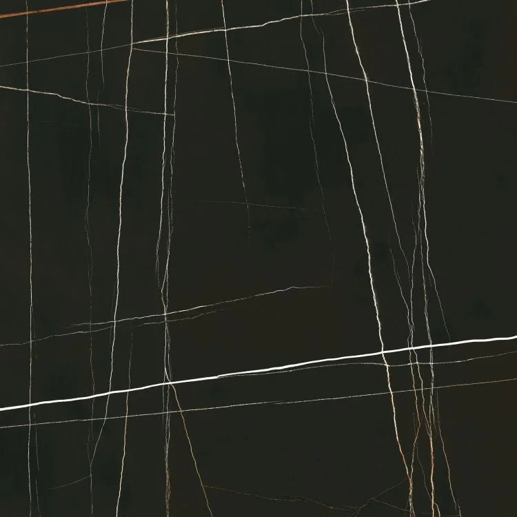 Noir Black 48x48 Polished Porcelain Tile