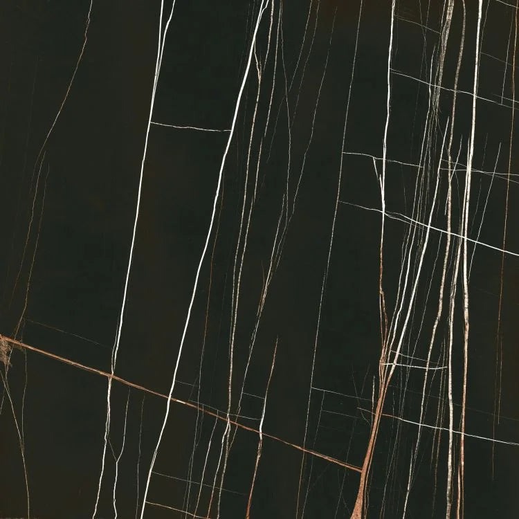 Noir Black 48x48 Polished Porcelain Tile