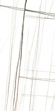 Noir White 24x48 Polished Porcelain Tile