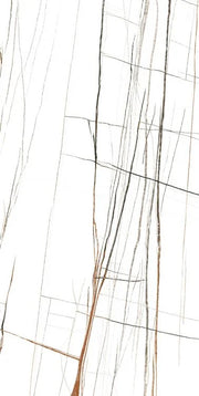 Noir White 24x48 Polished Porcelain Tile