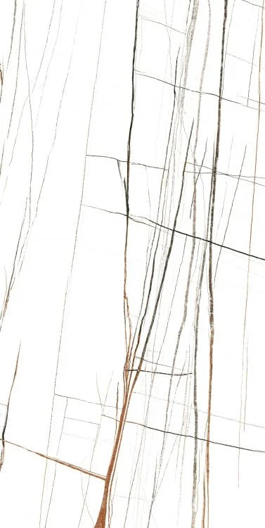 Noir White 24x48 Polished Porcelain Tile