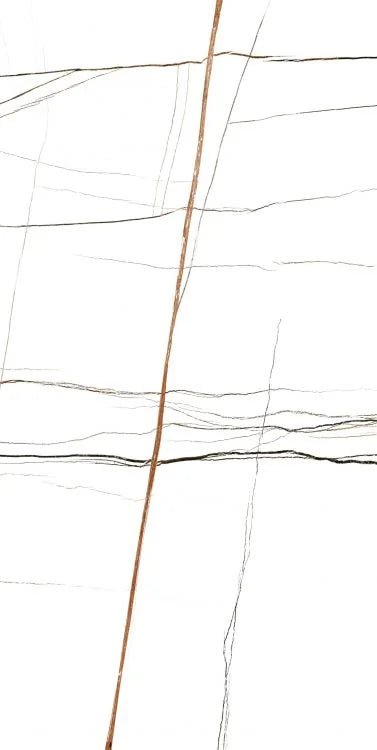 Noir White 24x48 Polished Porcelain Tile