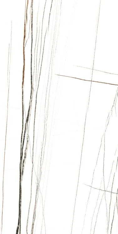 Noir White 24x48 Polished Porcelain Tile