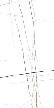 Noir White 24x48 Polished Porcelain Tile