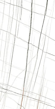 Noir White 24x48 Polished Porcelain Tile