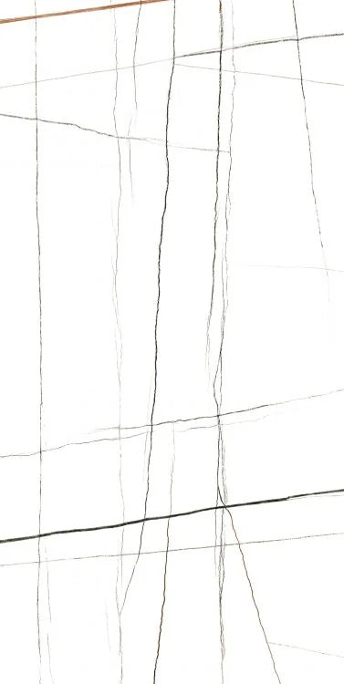 Noir White 24x48 Polished Porcelain Tile