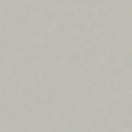 Nouvel Essential Gris 138x79 Polished 2cm Super Jumbo Quartzite Slab