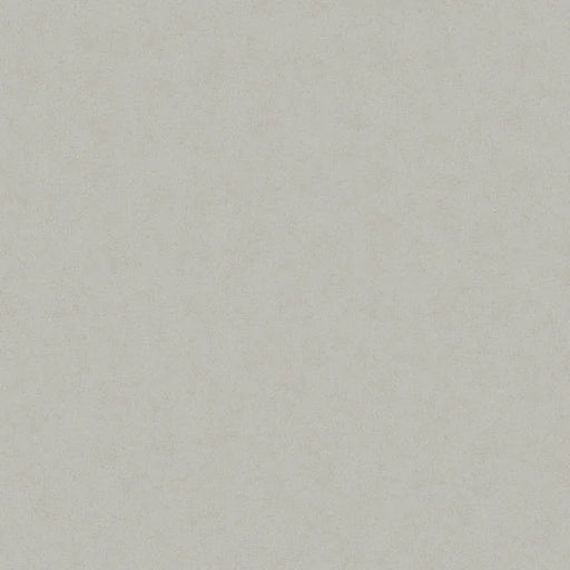 Nouvel Essential Gris 138x79 Polished 2cm Super Jumbo Quartzite Slab