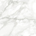 Nuvole White Marble 24x48 Polished Porcelain Tile