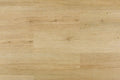 Omnia Bonafide Canvas 9x60 EIR Micro-Bevel 20mil SPC Vinyl Flooring